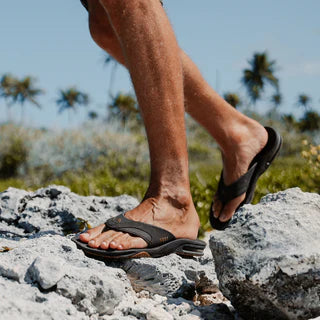 Reef Fanning Flip Flops Brown