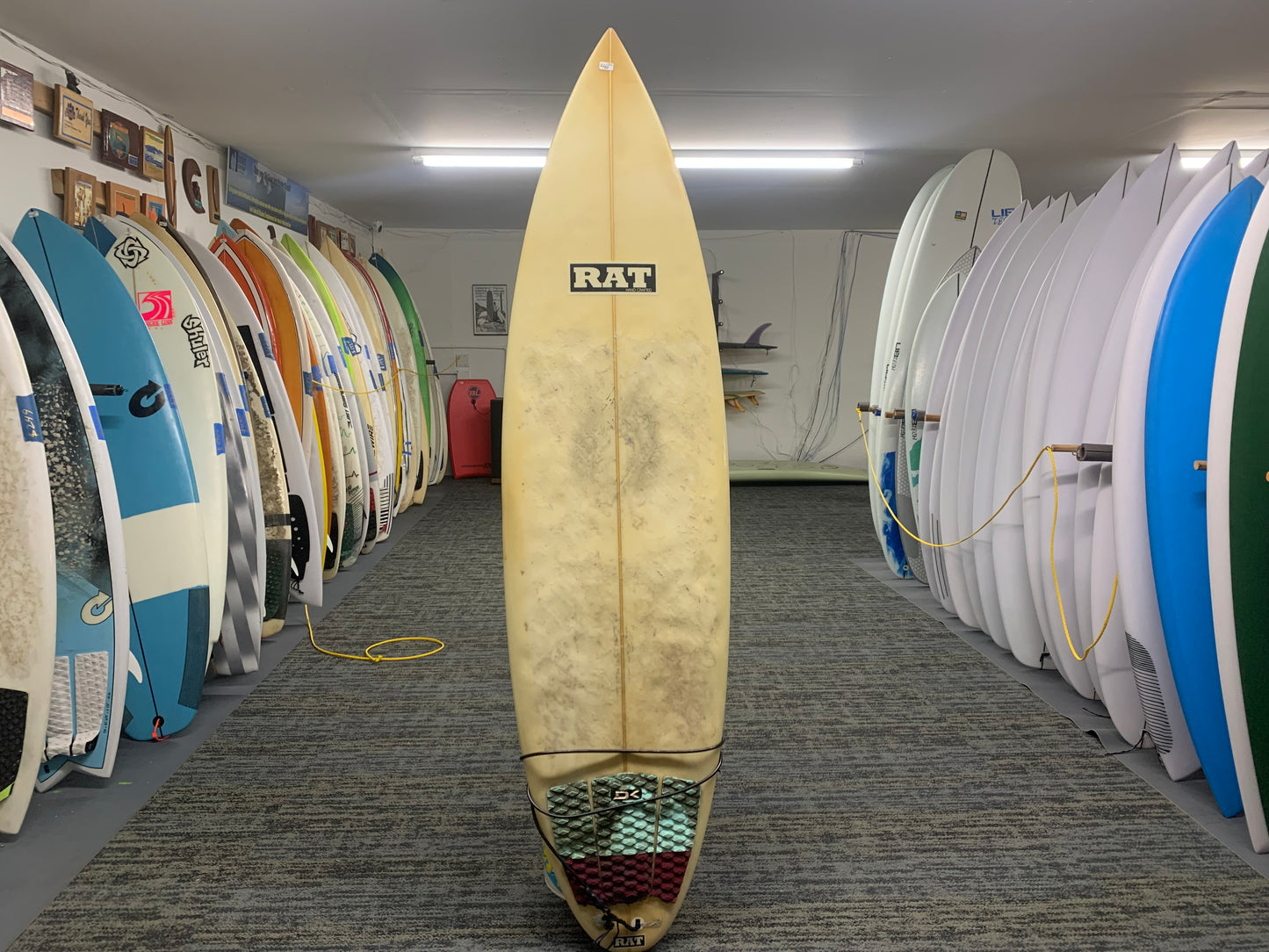 Used 6'4 Rat Shortboard
