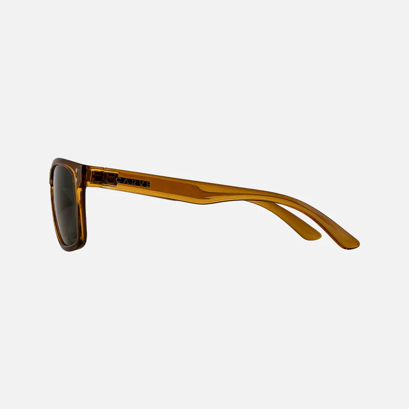 Goblin Recycled Polarized
