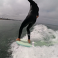 Takayama In the Pink 9'0" X 22.9" X 3" | 70.1L | Tuflite Pro Surfboard