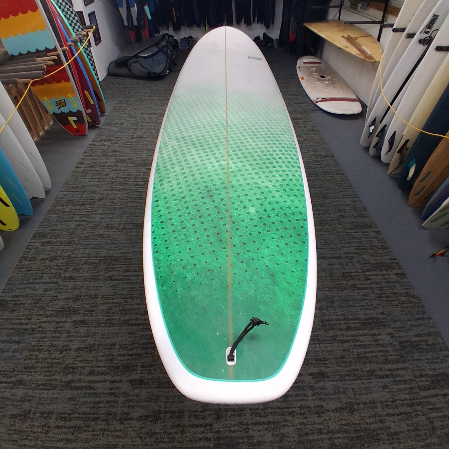 Used 10'0 NSP Longboard