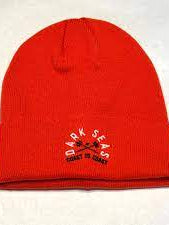 Cyclone Beanie Orange