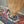 Damaged Becker Surfboard For Art