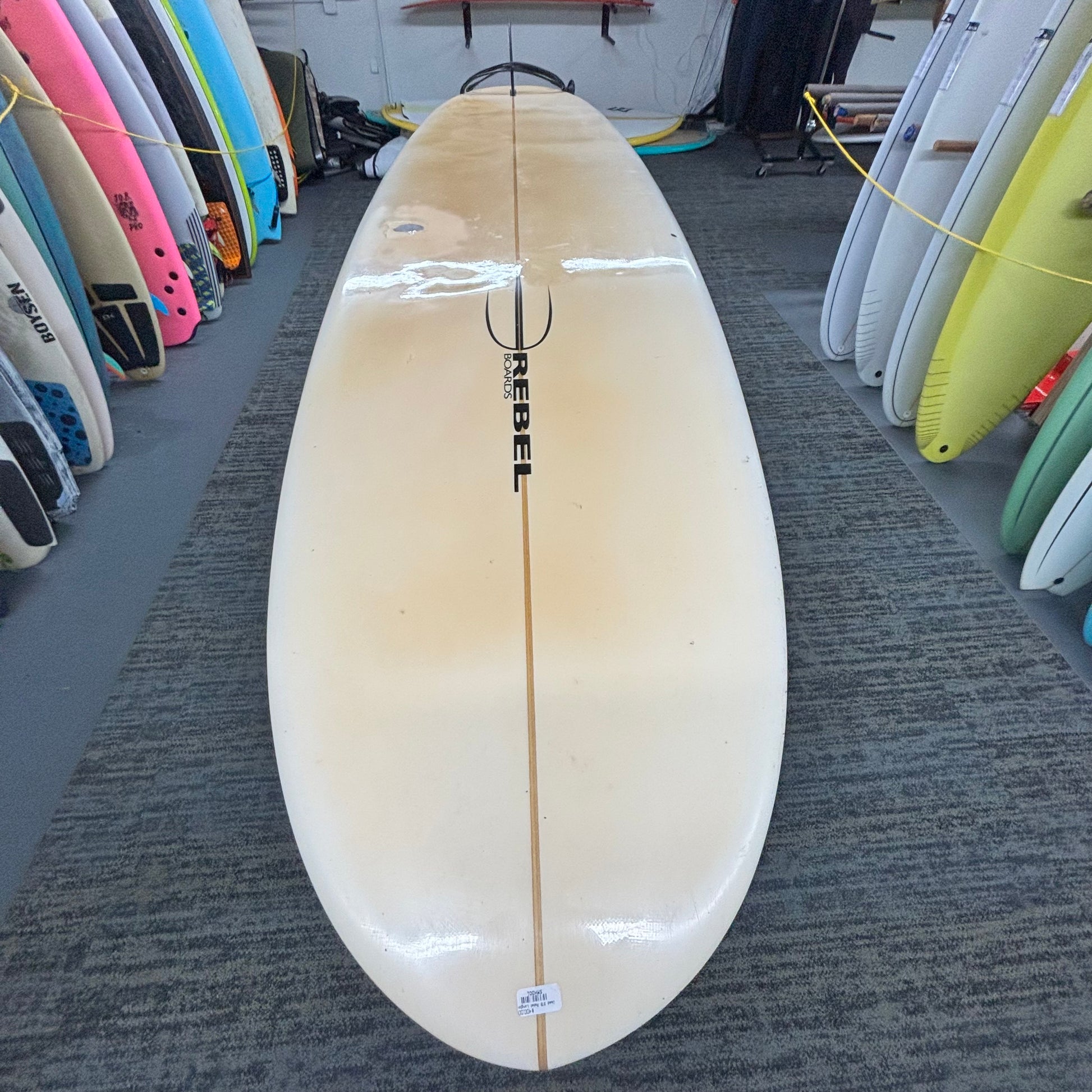 Used 9'6 Rebel Longboard w/Bag