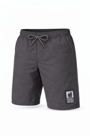Ledge Boardshorts 17" 4-Way Stretch