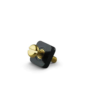 Break Away Longboard Screw & Plate