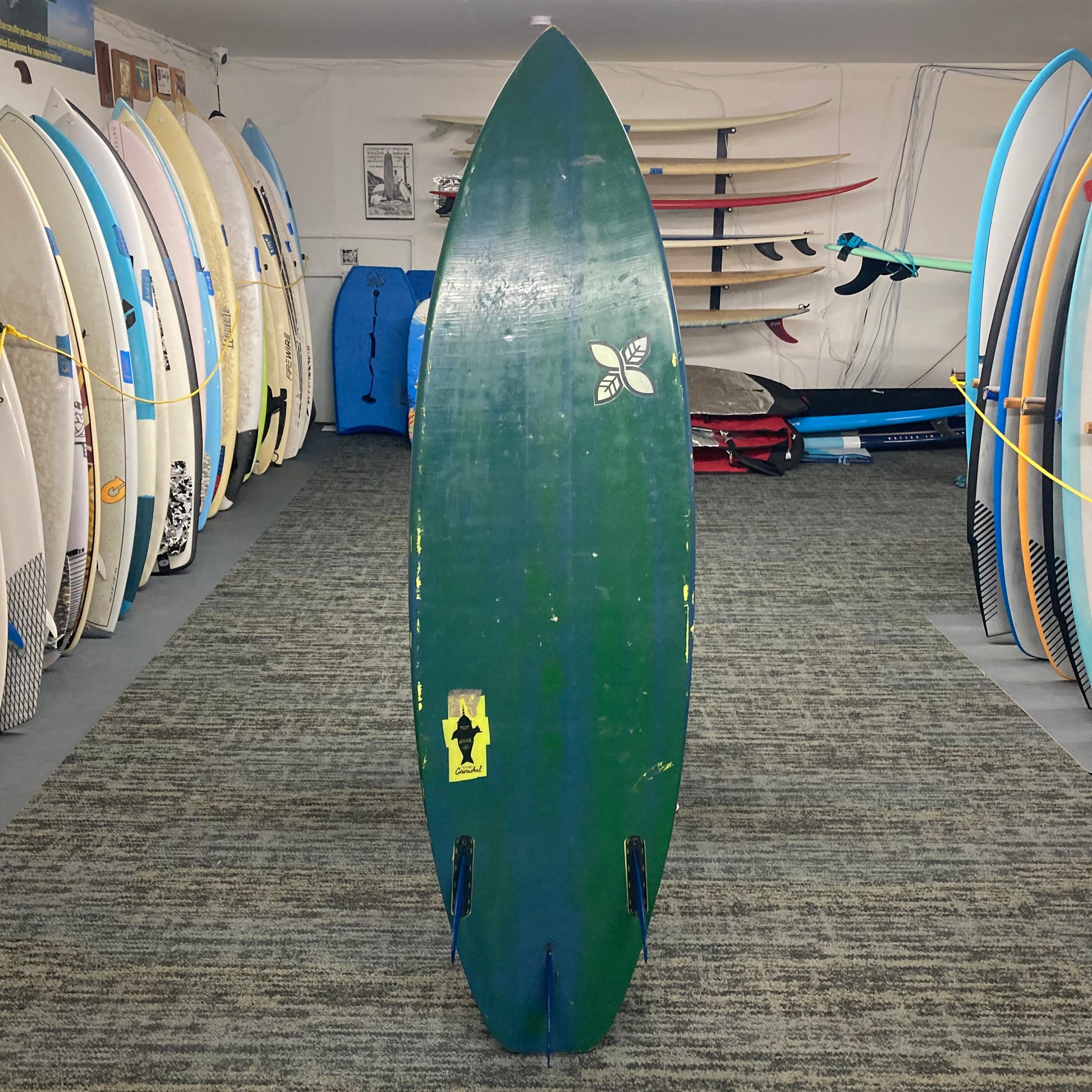 Used 6'1" Infiniti Gnarwhal